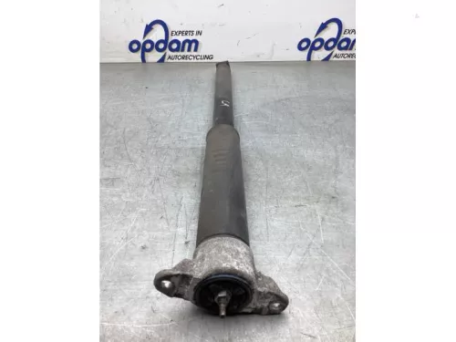 Schokdemper links-achter-8184038 (21147883)