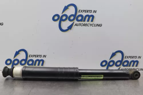 Schokdemper links-achter-7581028