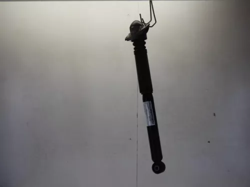 Schokdemper links-achter-7737147