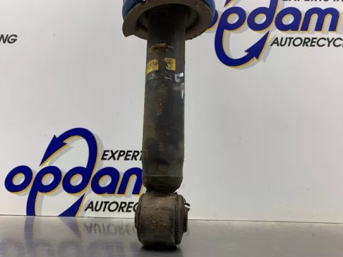 Schokdemperpoot links-achter-8325670 (22649860)