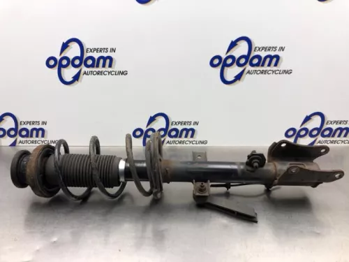 Schokdemperpoot links-achter-8242847