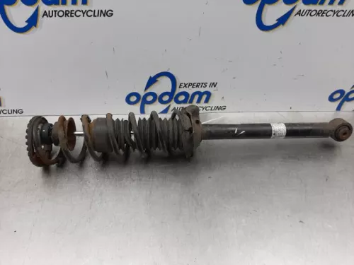 Schokdemperpoot links-achter-7612031