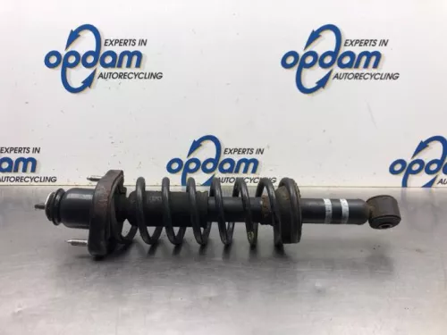 Schokdemperpoot links-achter-