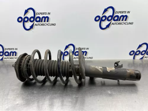 Schokdemperpoot links-voor-8184557 (22079878)
