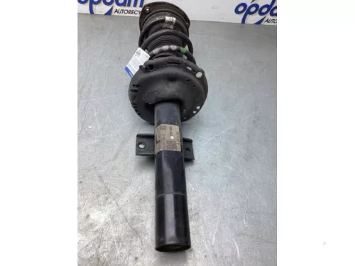 Schokdemperpoot links-voor-8300843 (22618685)