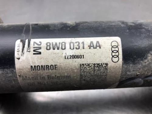 Schokdemperpoot links-voor-8081174 (20509587)