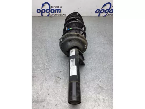 Schokdemperpoot links-voor-8090279