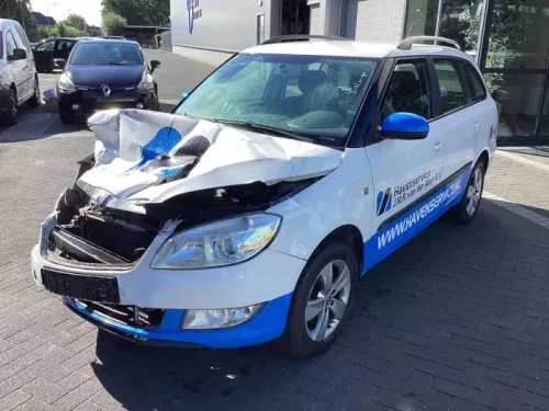 Schokdemperpoot links-voor-7875940 (21017561)