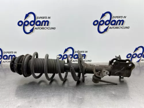 Schokdemperpoot links-voor-8298840 (22343639)