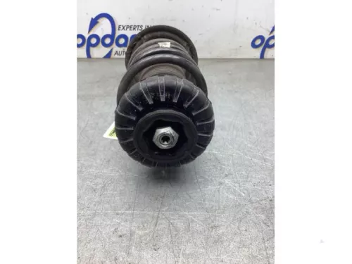 Schokdemperpoot links-voor-8289212 (22123181)