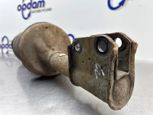 Schokdemperpoot links-voor-8300875 (22302296)
