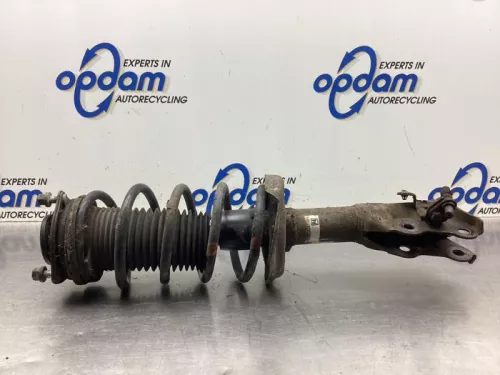 Schokdemperpoot links-voor-8042921