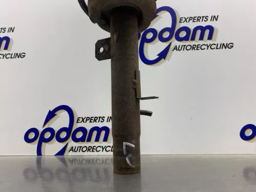 Schokdemperpoot links-voor-8308354 (22391463)