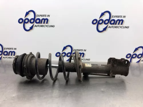 Schokdemperpoot links-voor-8188438