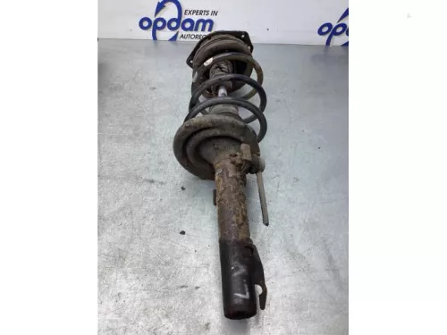 Schokdemperpoot links-voor-7929902 (17856980)