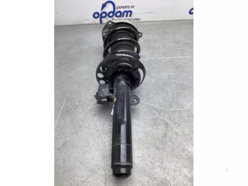 Schokdemperpoot links-voor-8072378