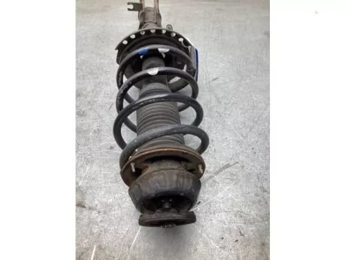 Schokdemperpoot links-voor-8205783 (22079424)