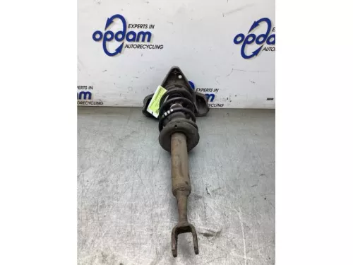 Schokdemperpoot links-voor-8310598 (22544751)