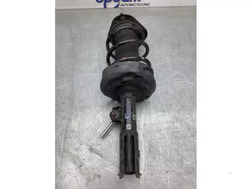 Schokdemperpoot links-voor-8175775 (20896163)