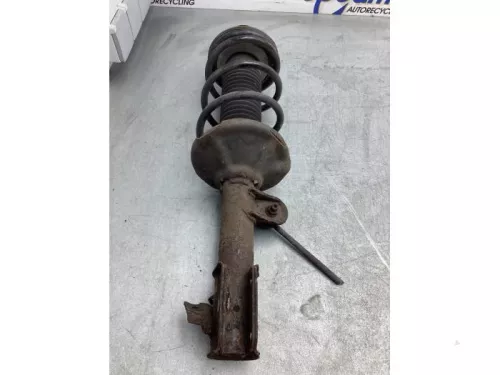 Schokdemperpoot links-voor-7982511 (18653415)