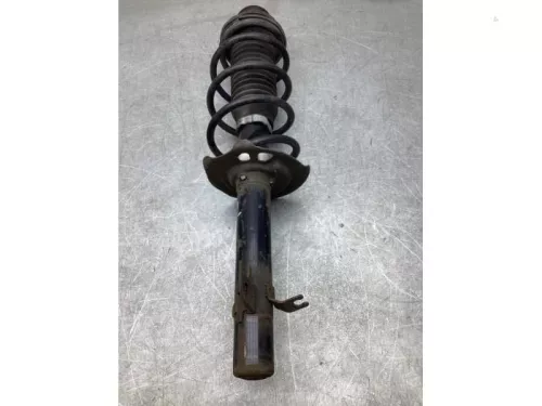 Schokdemperpoot links-voor-8051652