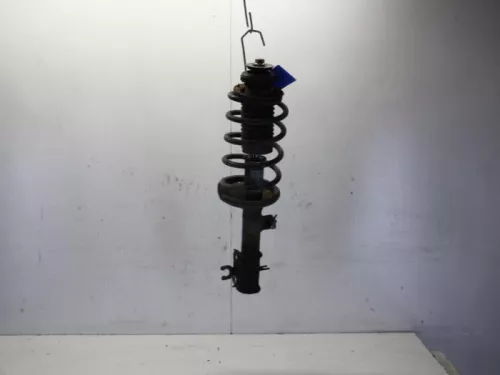 Schokdemperpoot links-voor-7882073 (10322504)