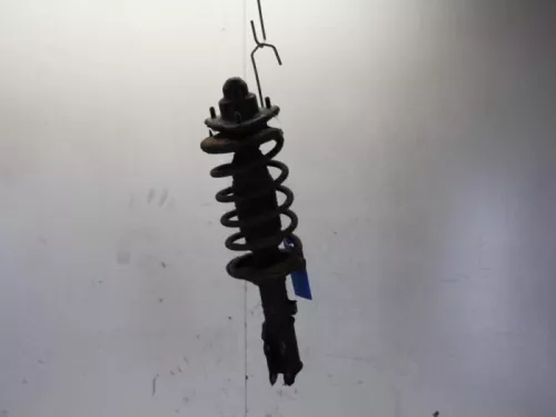 Schokdemperpoot links-voor-7881847 (10417146)