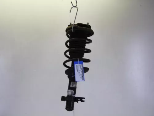 Schokdemperpoot links-voor-7882939 (9825285)
