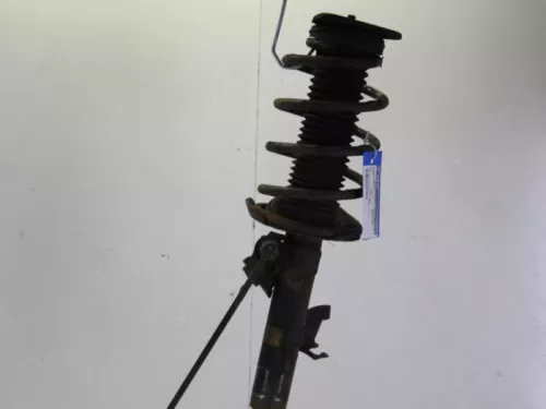 Schokdemperpoot links-voor-7619865 (9091096)
