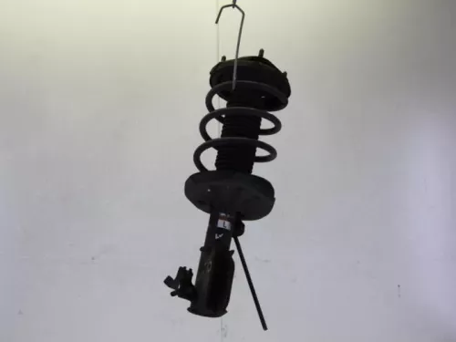 Schokdemperpoot links-voor-7613235 (10086386)