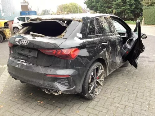 Schokdemperpoot rechts-achter-8251609 (21718808)