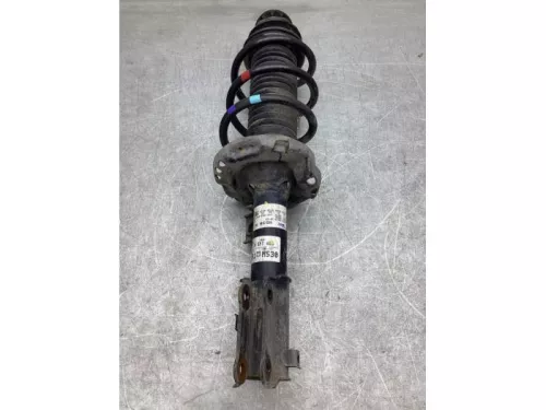 Schokdemperpoot rechts-voor-7617489