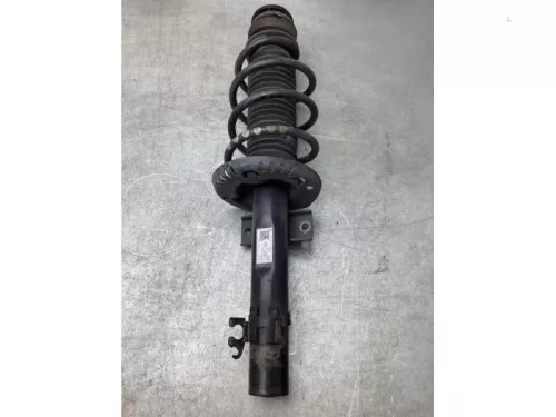 Schokdemperpoot rechts-voor-8050375