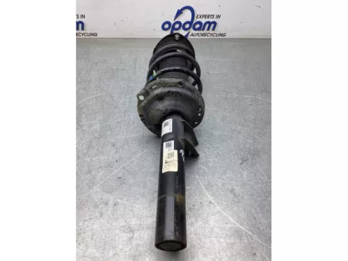 Schokdemperpoot rechts-voor-8090279 (20819525)