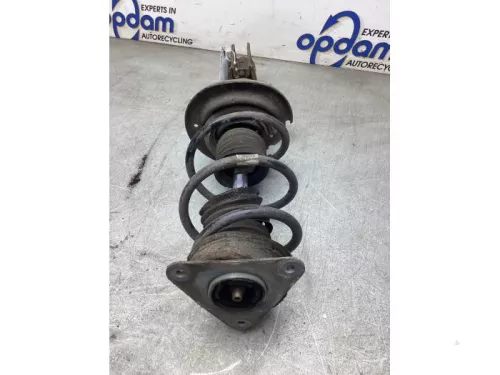 Schokdemperpoot rechts-voor-8276199 (22030576)