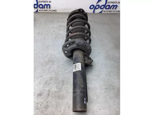 Schokdemperpoot rechts-voor-8203678 (22154704)