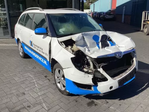 Schokdemperpoot rechts-voor-7875940 (21017566)