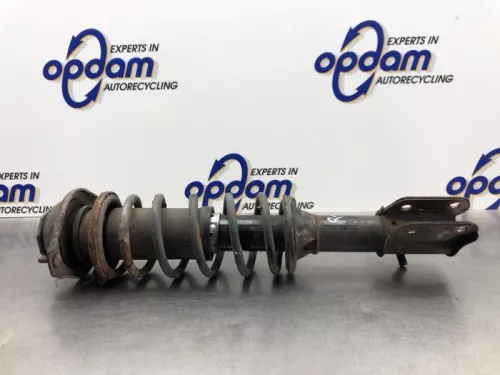 Schokdemperpoot rechts-voor-8216841