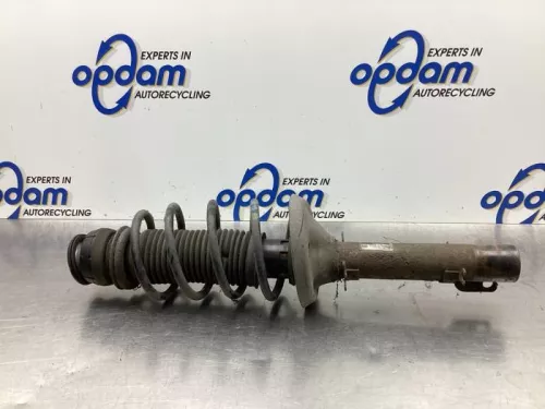 Schokdemperpoot rechts-voor-8053014