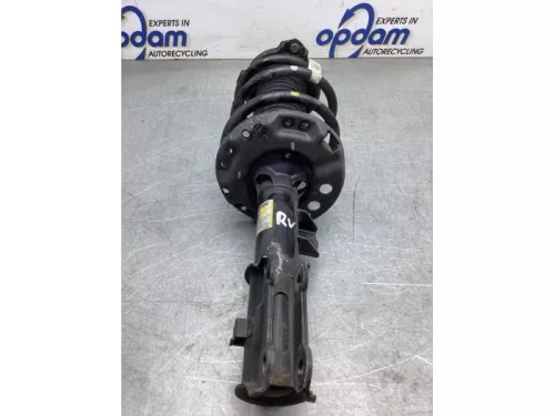 Schokdemperpoot rechts-voor-8192977