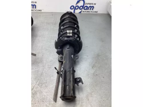 Schokdemperpoot rechts-voor-8055220