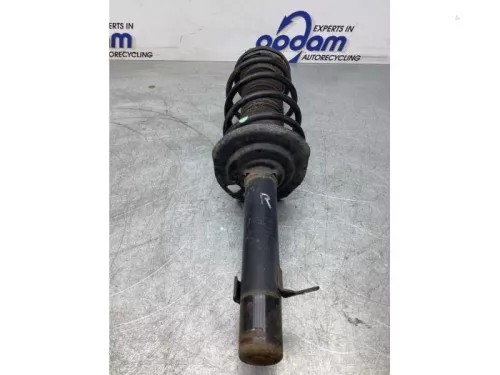 Schokdemperpoot rechts-voor-7746841