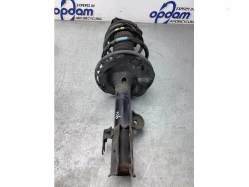 Schokdemperpoot rechts-voor-8043966 (21549184)