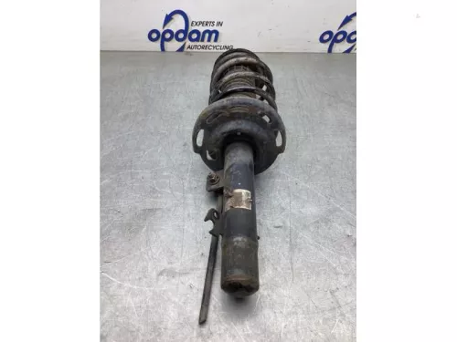 Schokdemperpoot rechts-voor-8060473