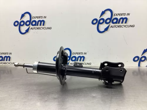 Schokdemperpoot rechts-voor-