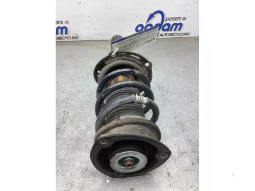 Schokdemperpoot rechts-voor-8247877