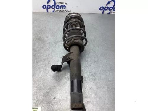 Schokdemperpoot rechts-voor-7976493