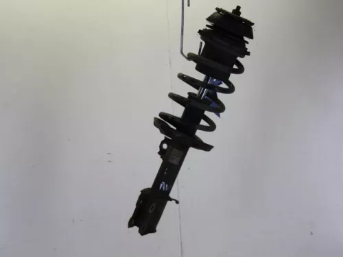 Schokdemperpoot rechts-voor-7885457