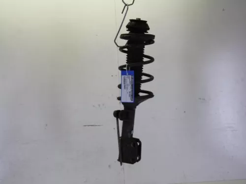 Schokdemperpoot rechts-voor-7884591