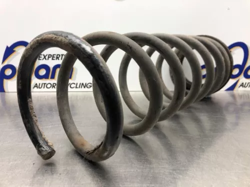 Schroefveer achter-8100955 (21040411)